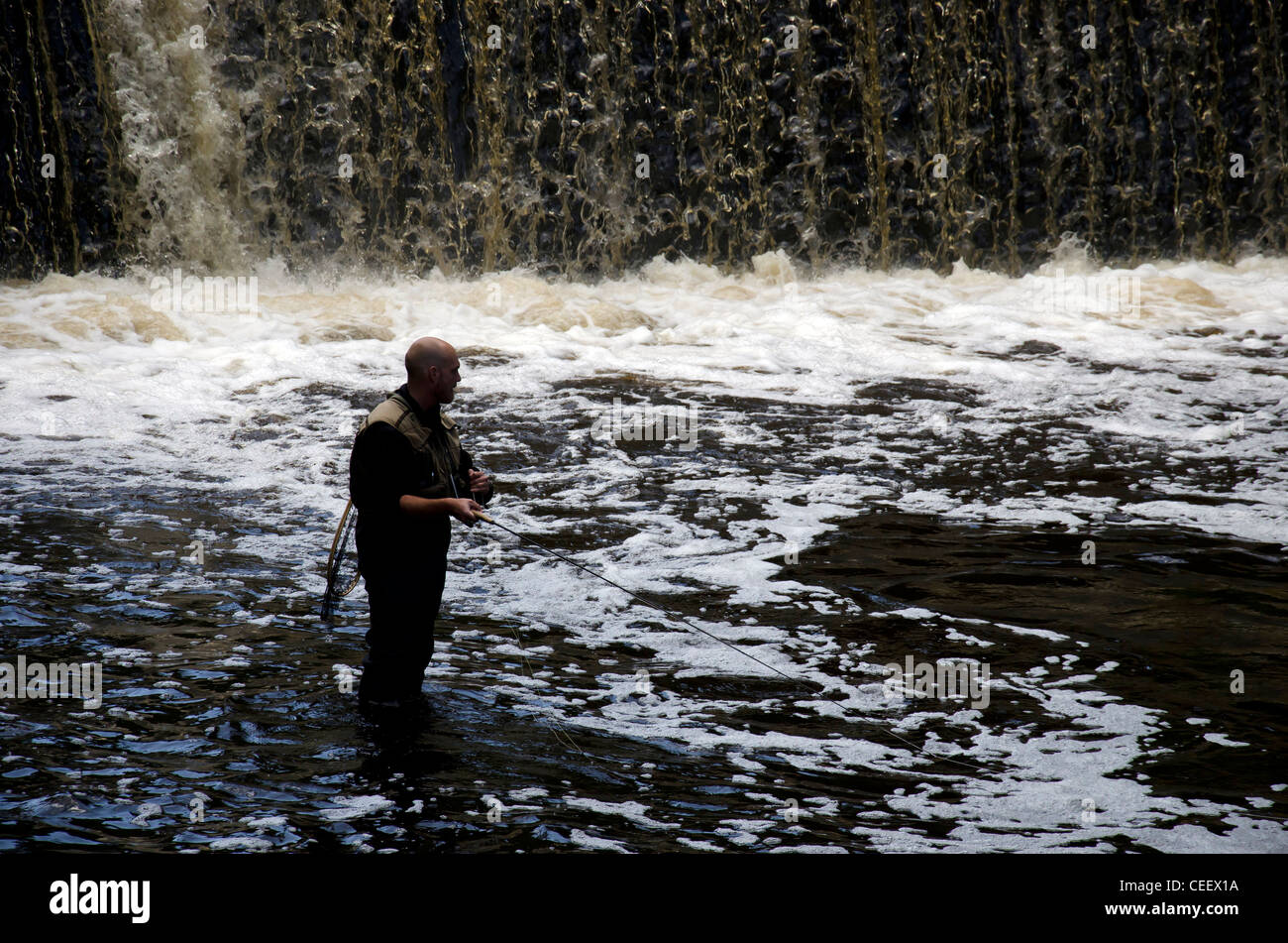 Angler fly fishing on the River Almond at Cramond, Edinburgh, Scotland