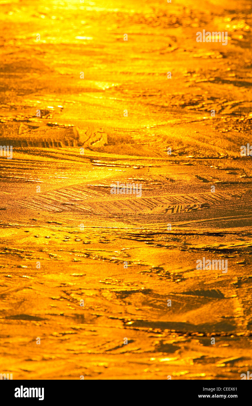 Early morning sunlight reflected from the frozen surface of a lake, Somerset, UK, winter Stock Photo