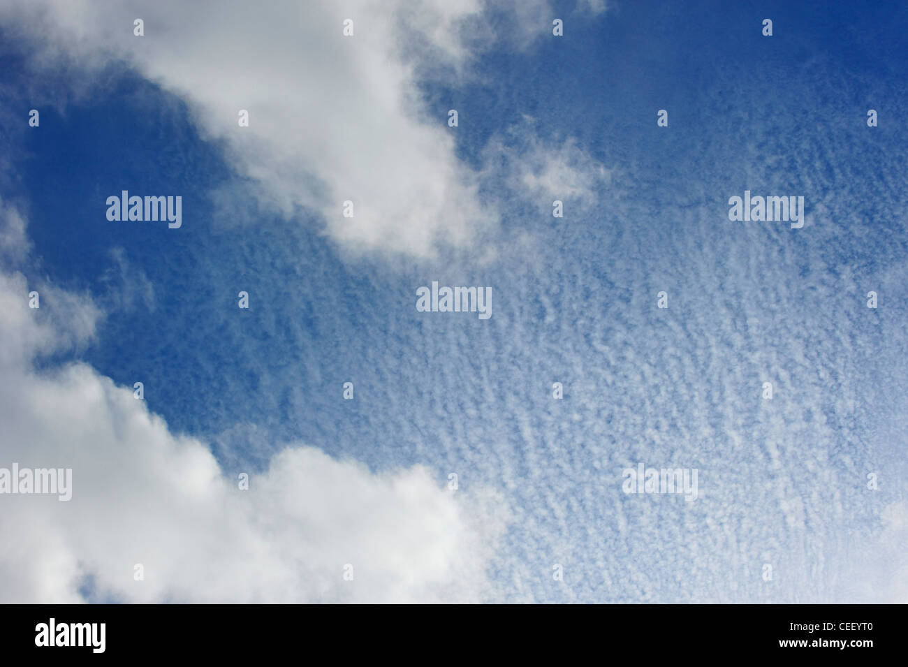 Cirrocumulus clouds against blue sky, Belgium Stock Photo