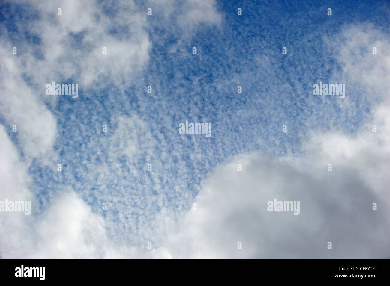 Cirrocumulus clouds against blue sky, Belgium Stock Photo