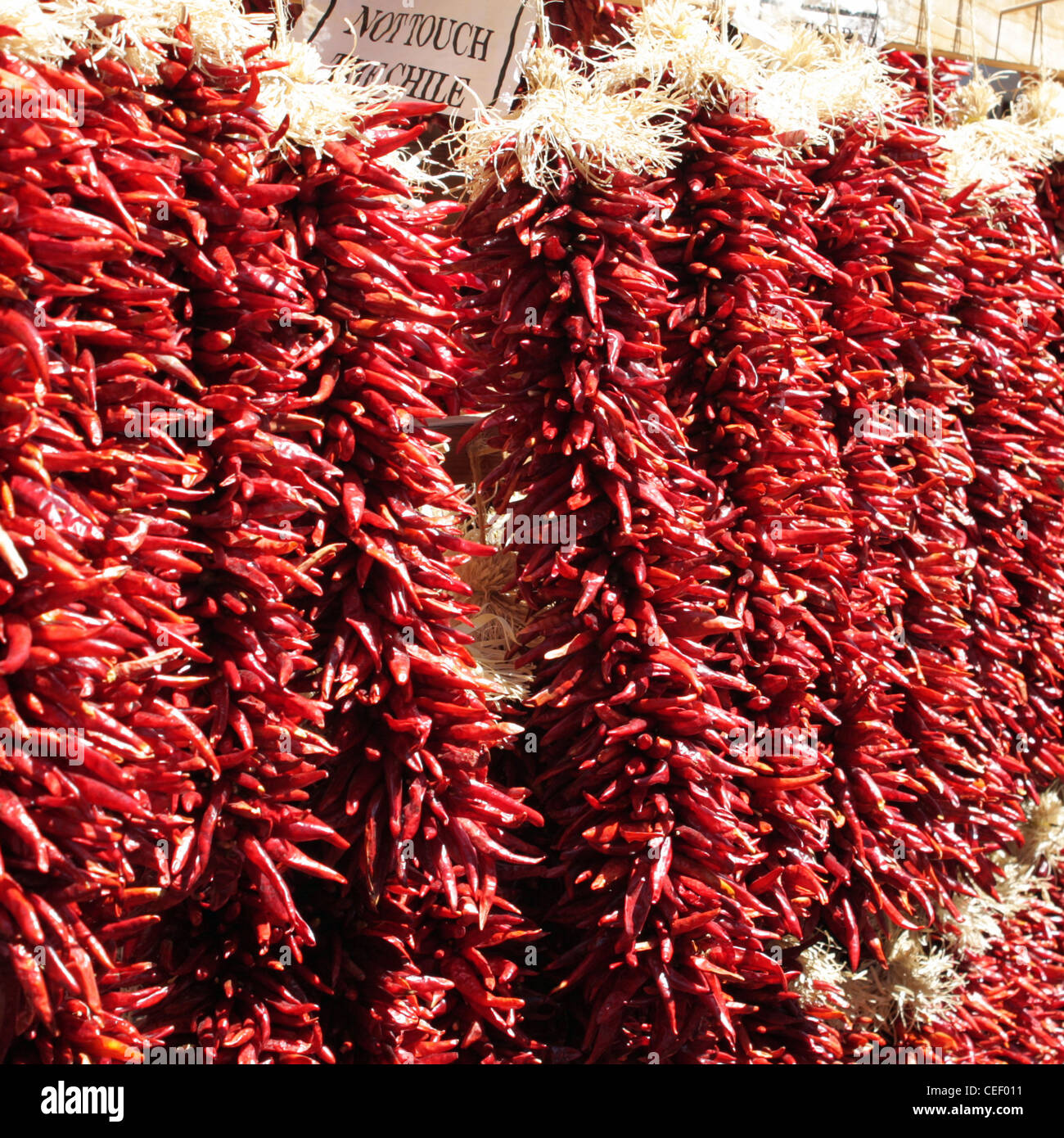 Chillies plant hi-res stock photography and images - Alamy