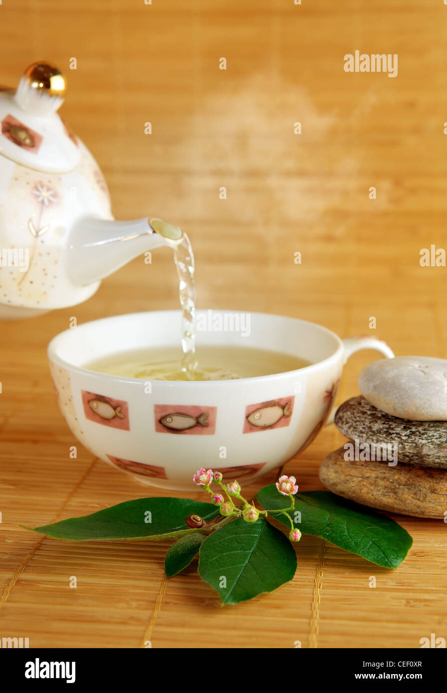 Healthy green tea cup Stock Photo Alamy