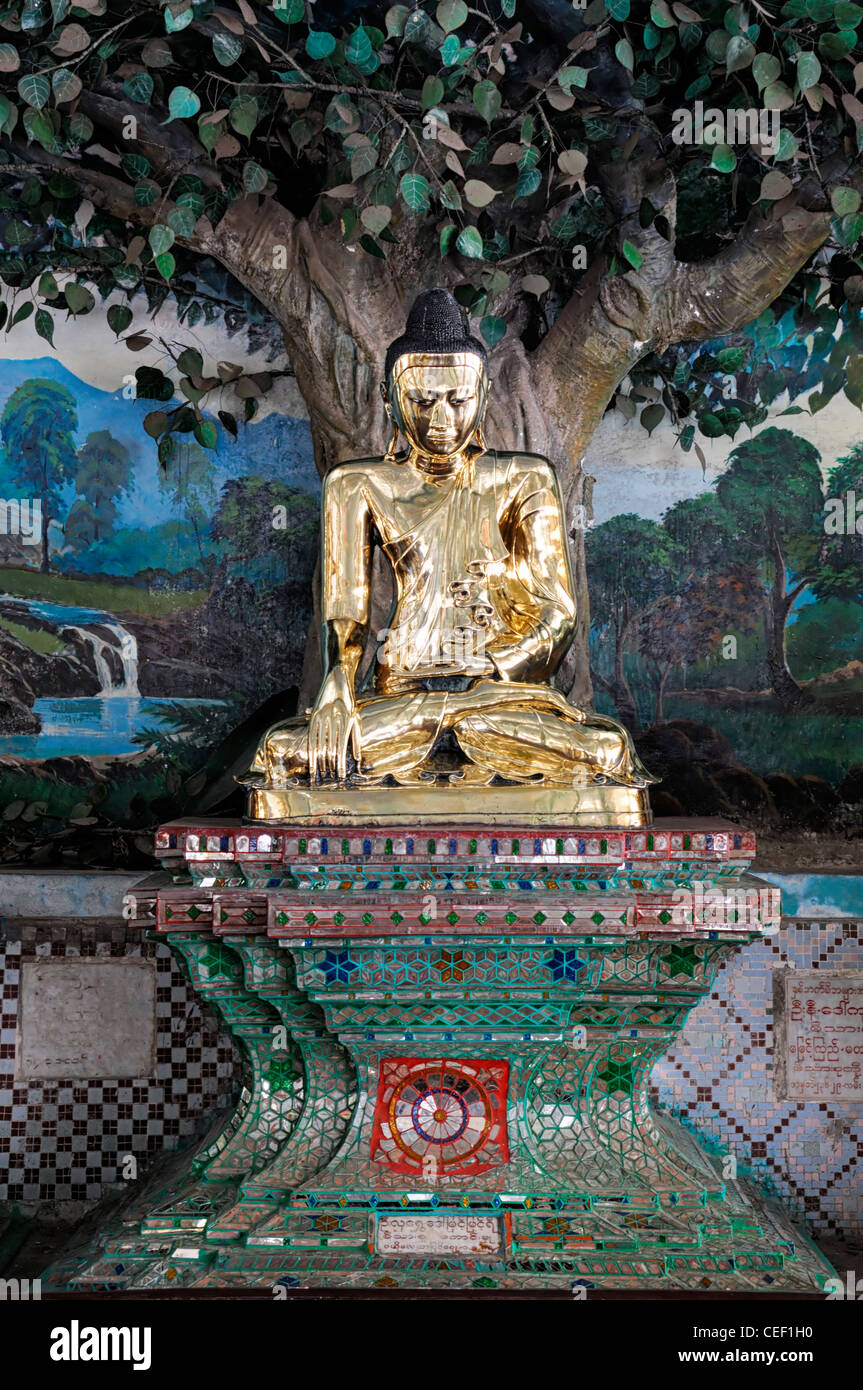 golden statue buddha bodhi tree shrine buddhism Shwedagon Pagoda
