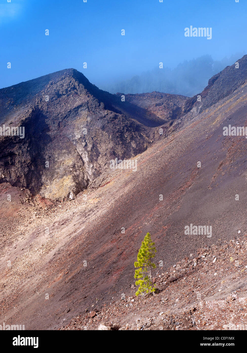 The volcanic landscape of La Palma in the Canary Islands Stock Photo 
