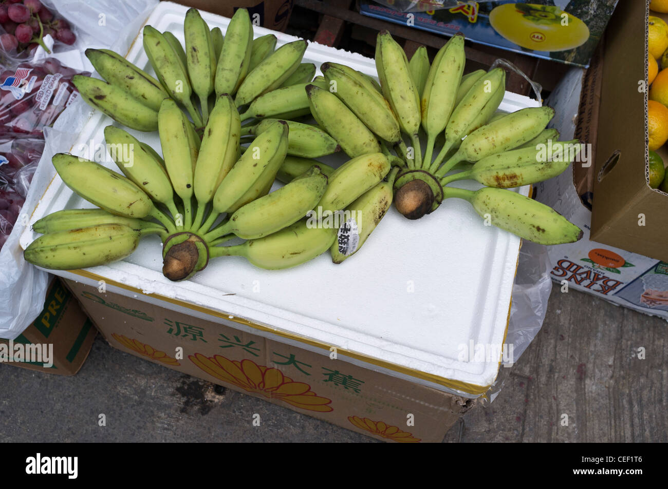 dh Banana FRUIT HONG KONG Small short chinese bananas bunch china Stock Photo