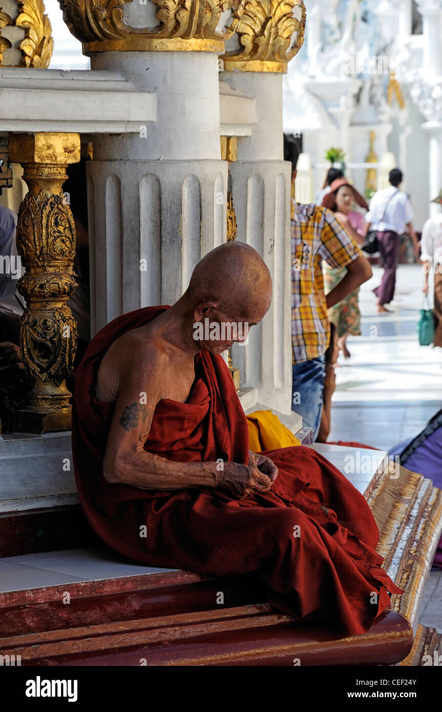 red robed buddhist monk meditate meditating pray praying Shwedagon