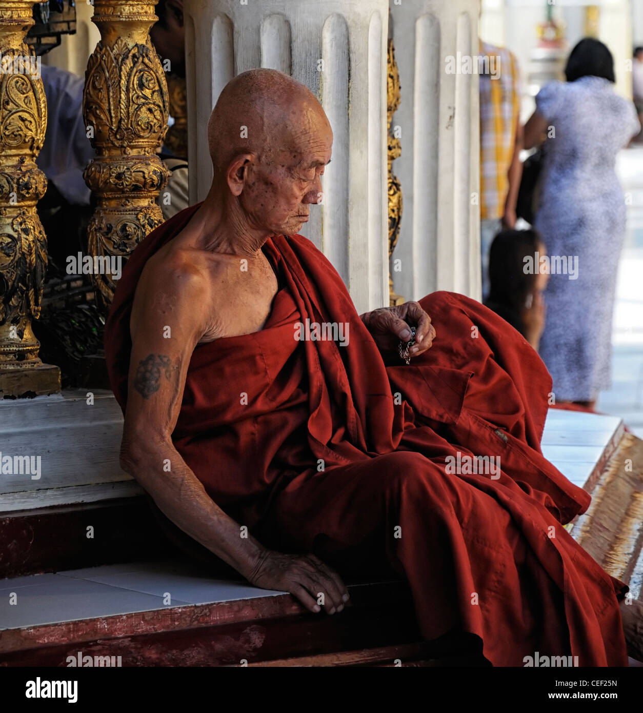 red robed buddhist monk meditate meditating pray praying Shwedagon ...