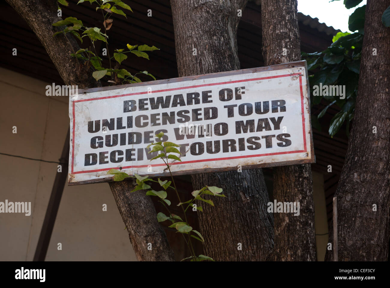 Unlicensed Tour Guide Scam Warning Wat Chedi Luang Chiang Mai Thailand Stock Photo