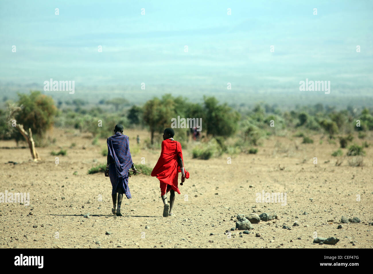 Maasai men near their village in Amboseli National Park, Kenya, East Africa. Stock Photo