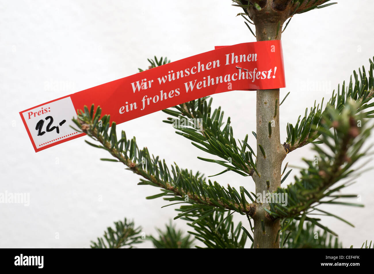 German christmas tree hires stock photography and images Alamy