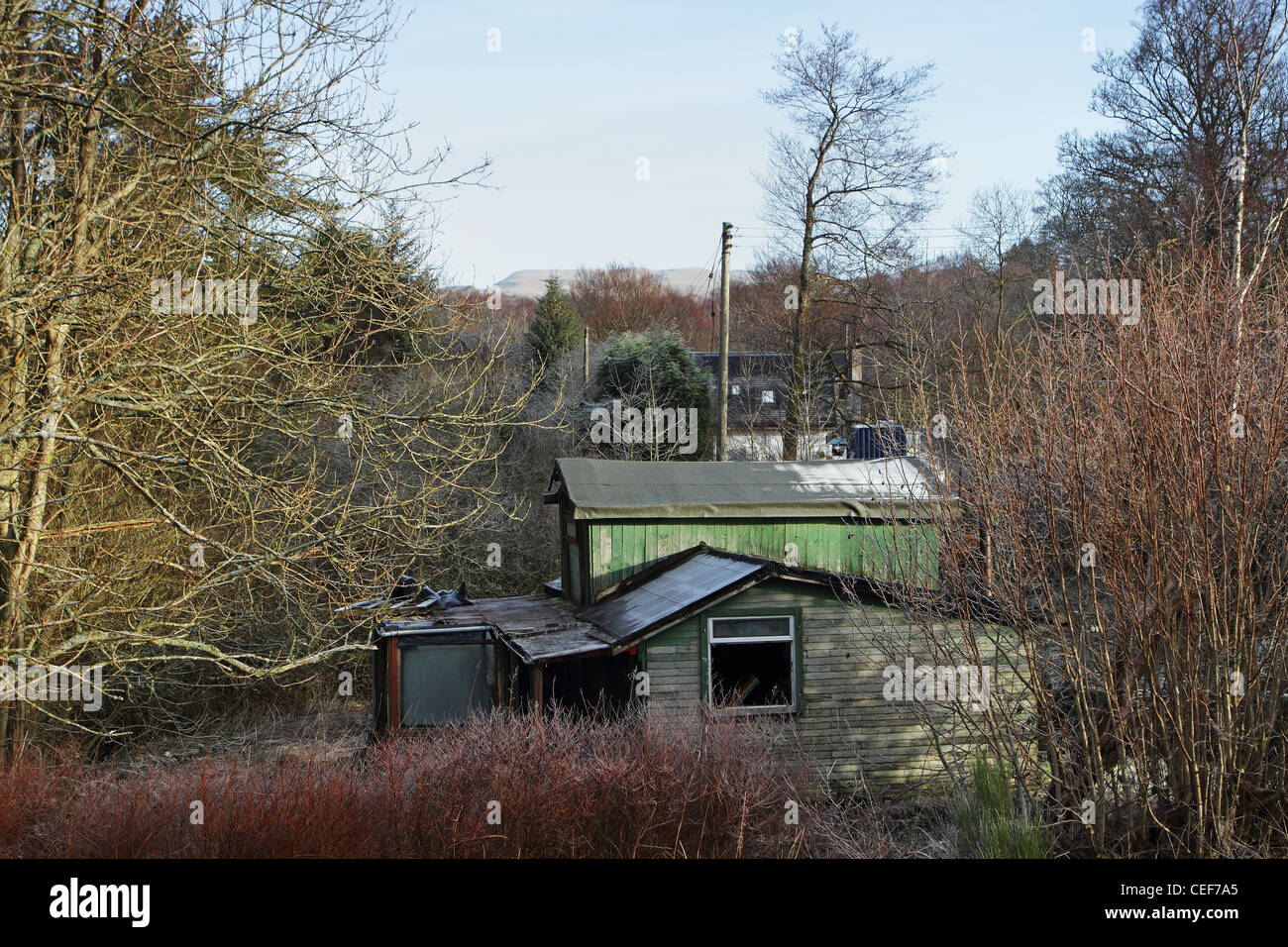 An old wooden hut at Carbeth. Stock Photo