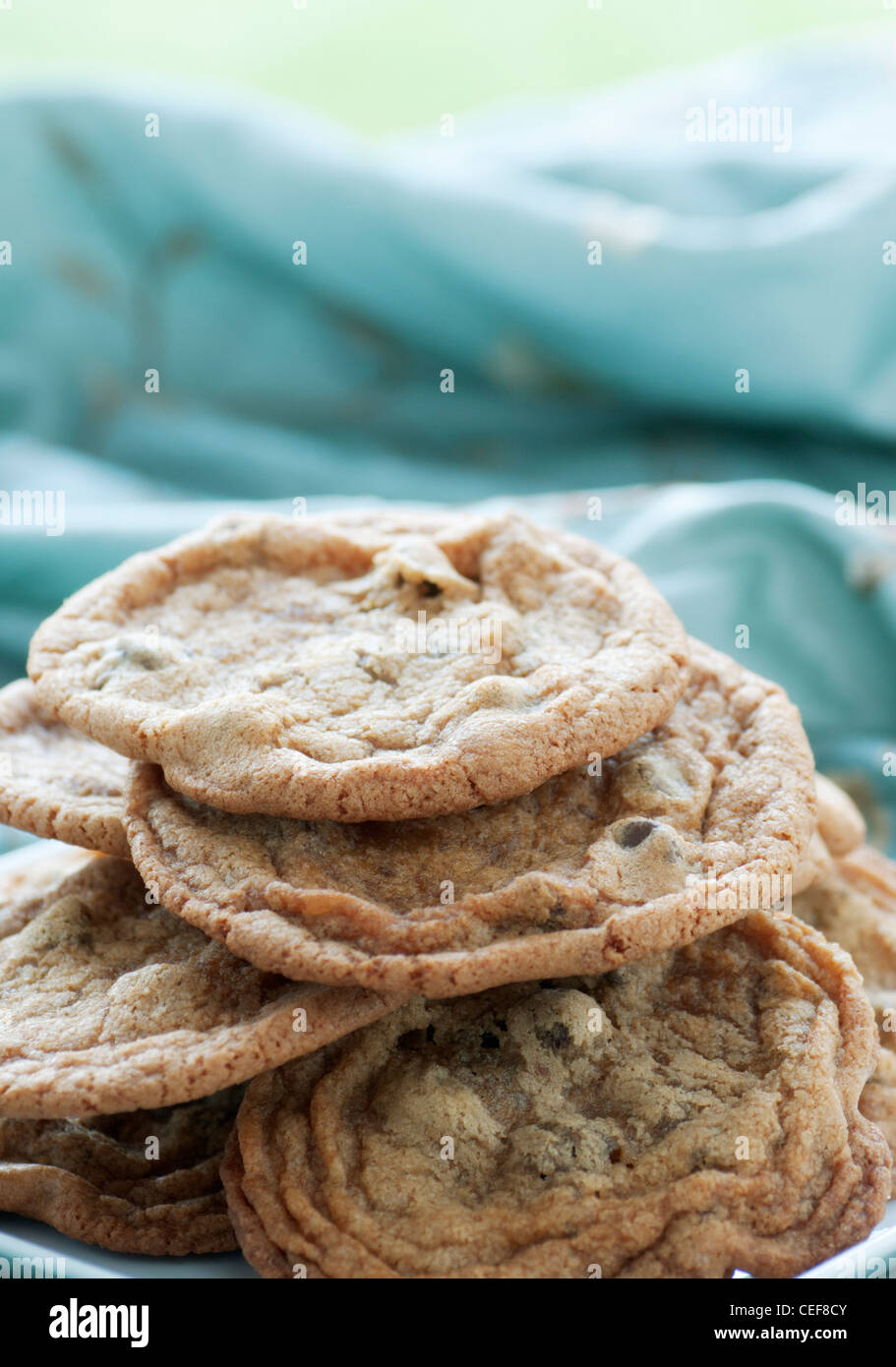Pile of soft chewy homemade chocolate chip cookies Stock Photo