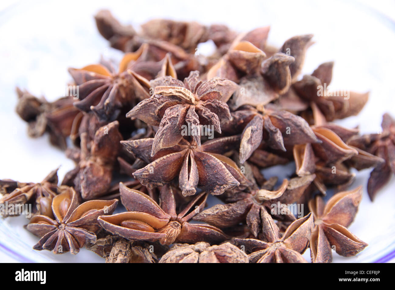 Star Anise Seeds Stock Photo Alamy