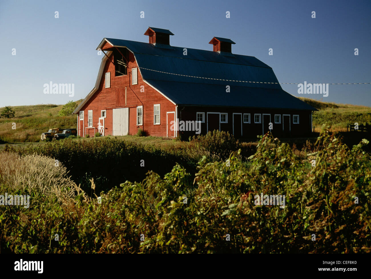 Red Barn South Dakota Usa Stock Photo 43362004 Alamy