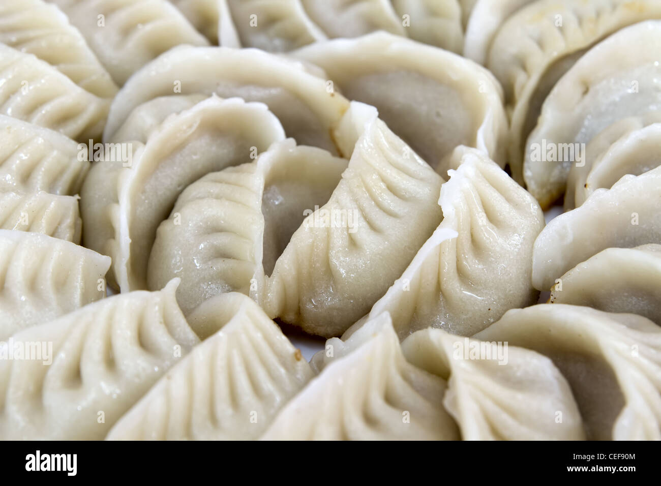 Potstickers Chinese Pork Dumplings Pan Fried Macro Closeup Stock Photo