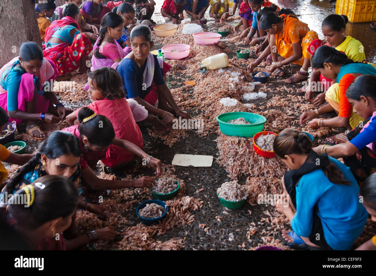 Local fish market, Mumbai, India Stock Photo Alamy