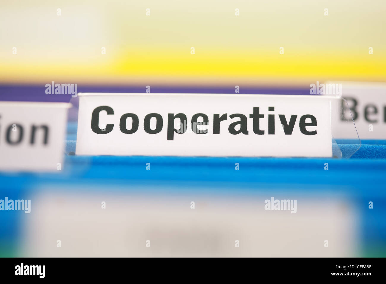Cooperative business organization filed in blue folders Stock Photo