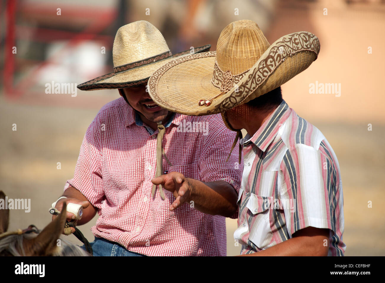 Mexican charros horsemen chatting in sombreros, TX, US Stock Photo