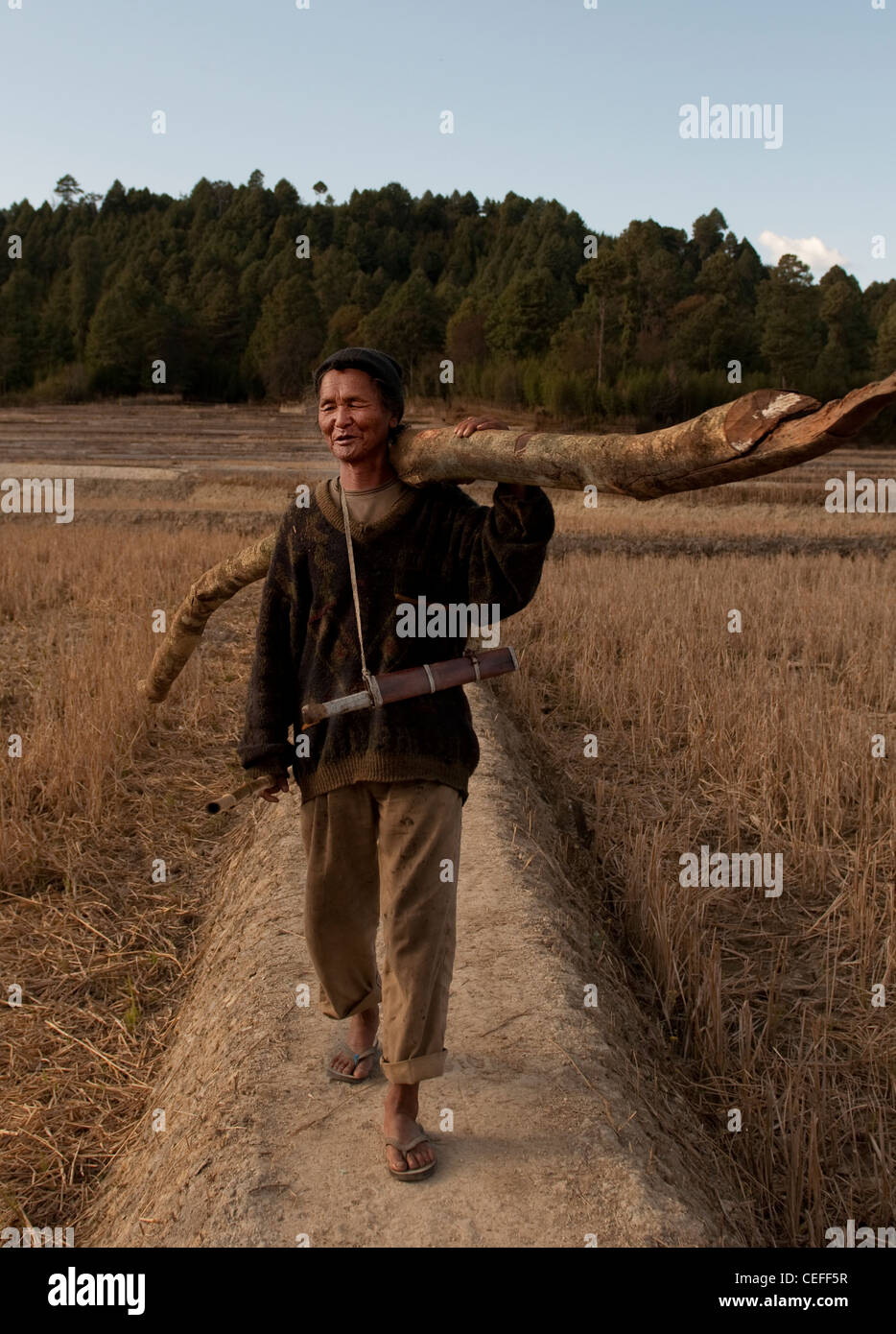 An Apatani tribal man carrying back firewood. Arunachal Pradesh Stock Photo