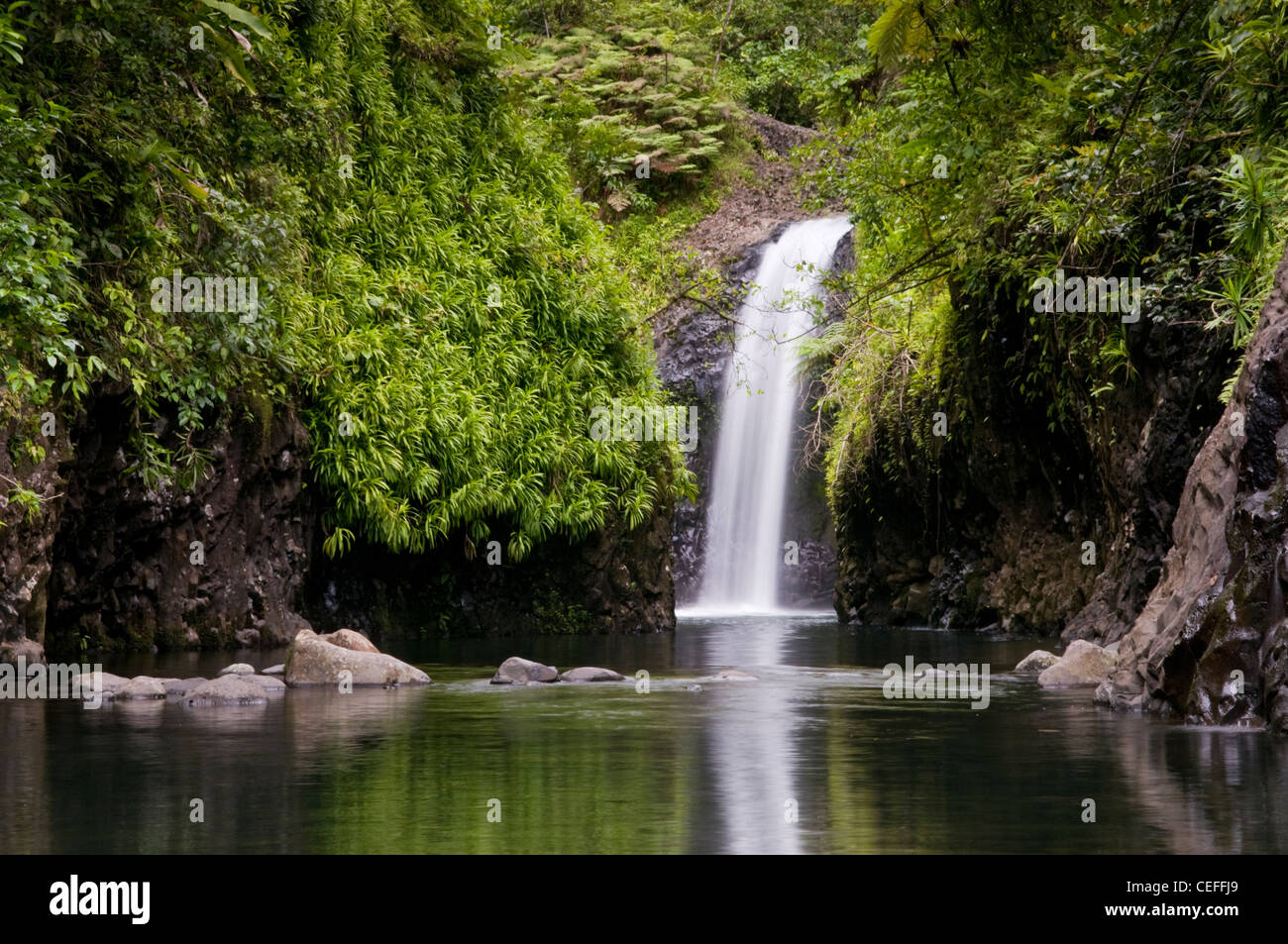 Wainibau Falls Lavena Coastal Walk, Taveuni Island Fiji Stock Photo