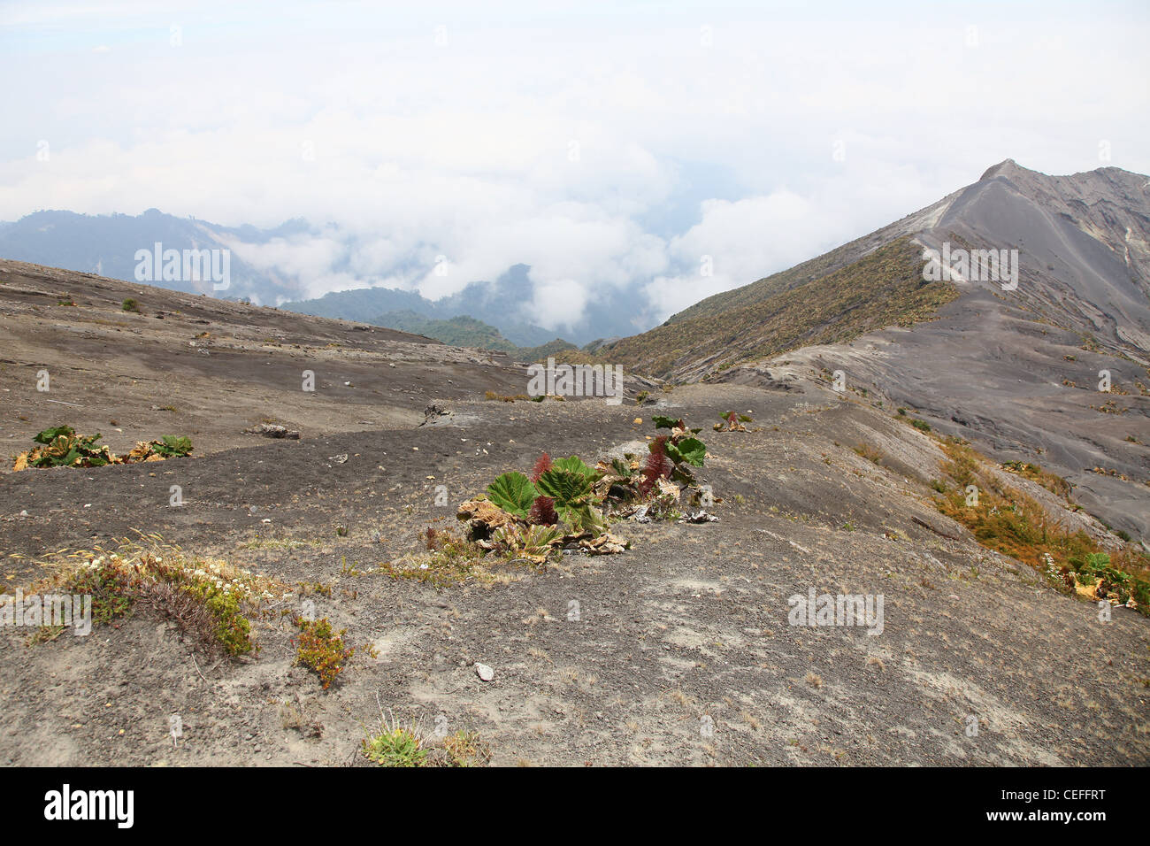 Dead Volcano Rim Central america volcanoes clouds hills volcanic activity dead leaves hi ...