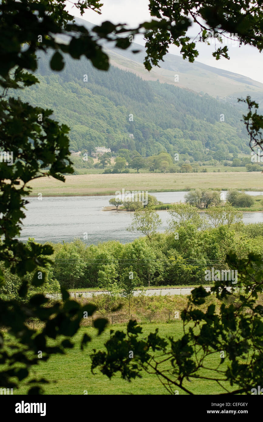 View of the south end of Bassenthwaite from within Powter How Wood Stock Photo