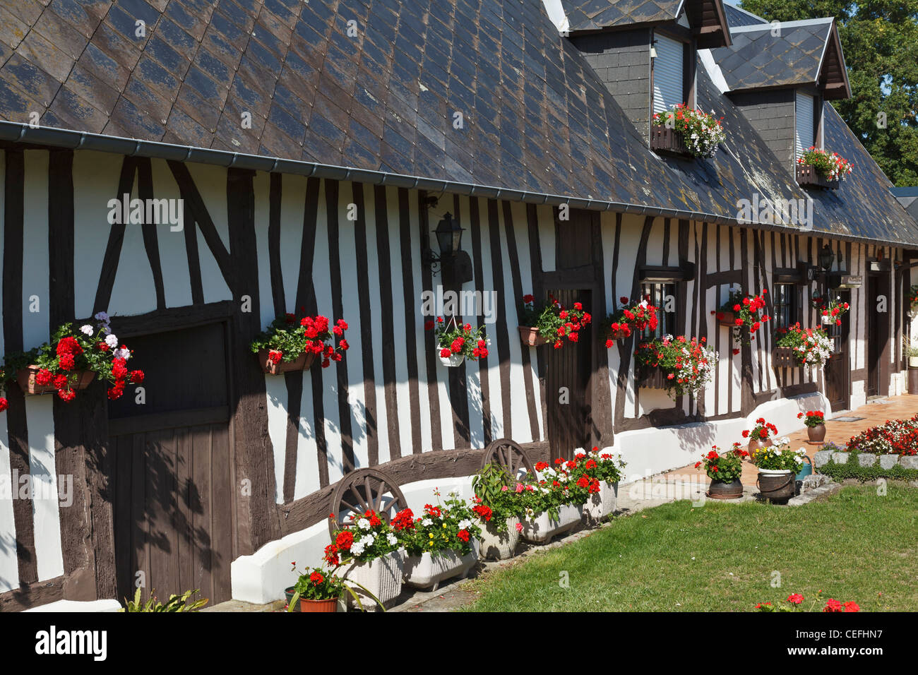 Traditional half-timbered Normandy farmhouse at Jumièges, Normandy, France Stock Photo