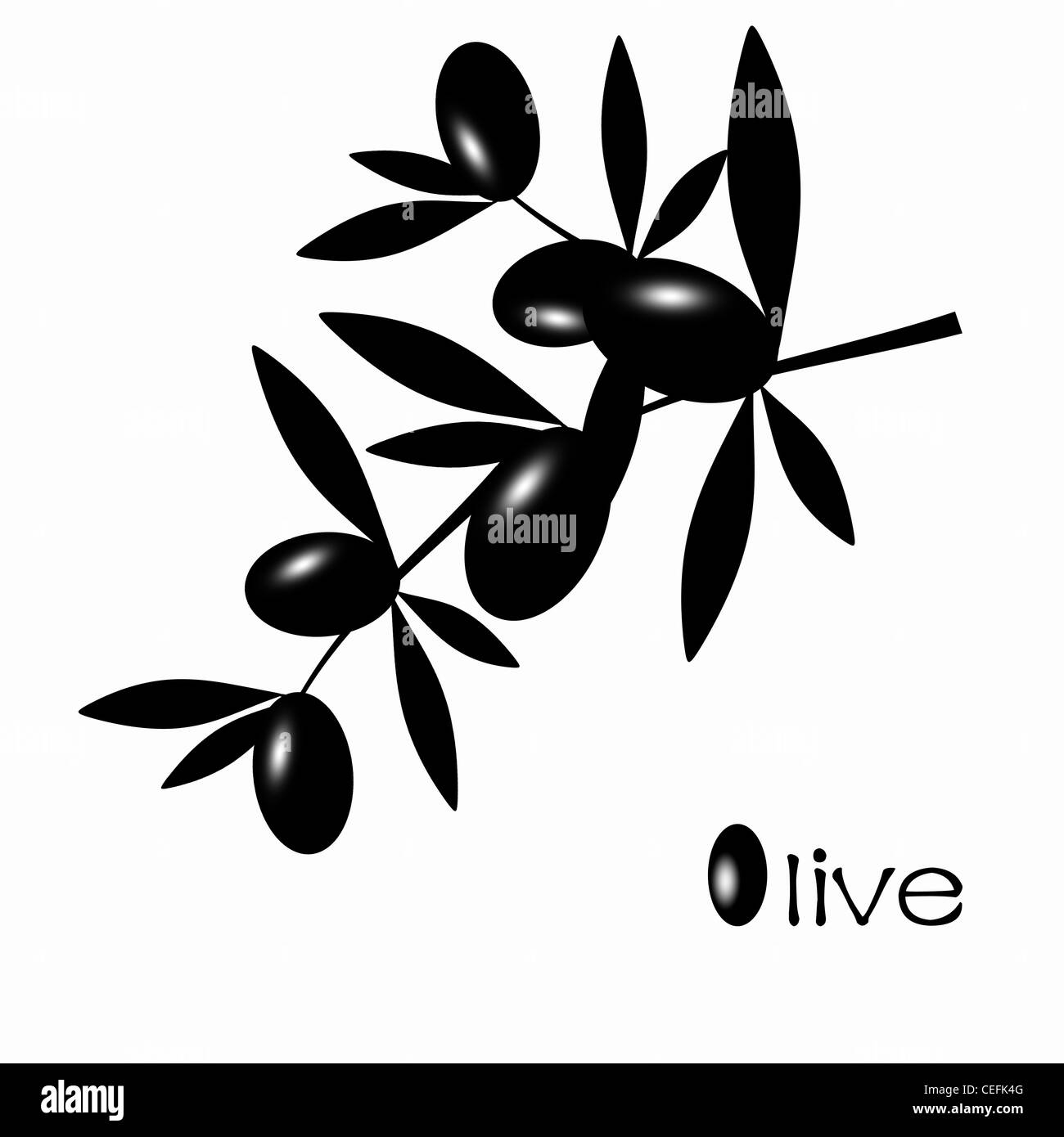 Black olive branch isolated on white background Stock Photo - Alamy