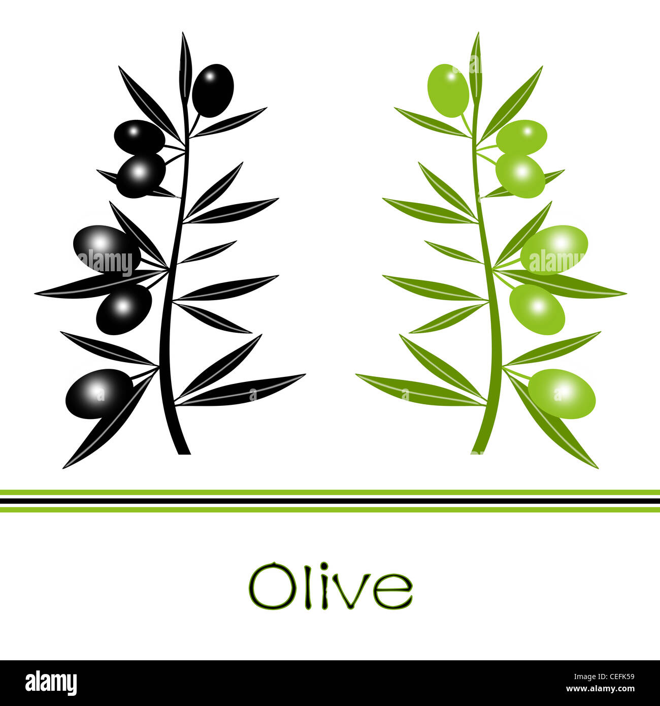 Silhouette of black and green olives branch Stock Photo - Alamy