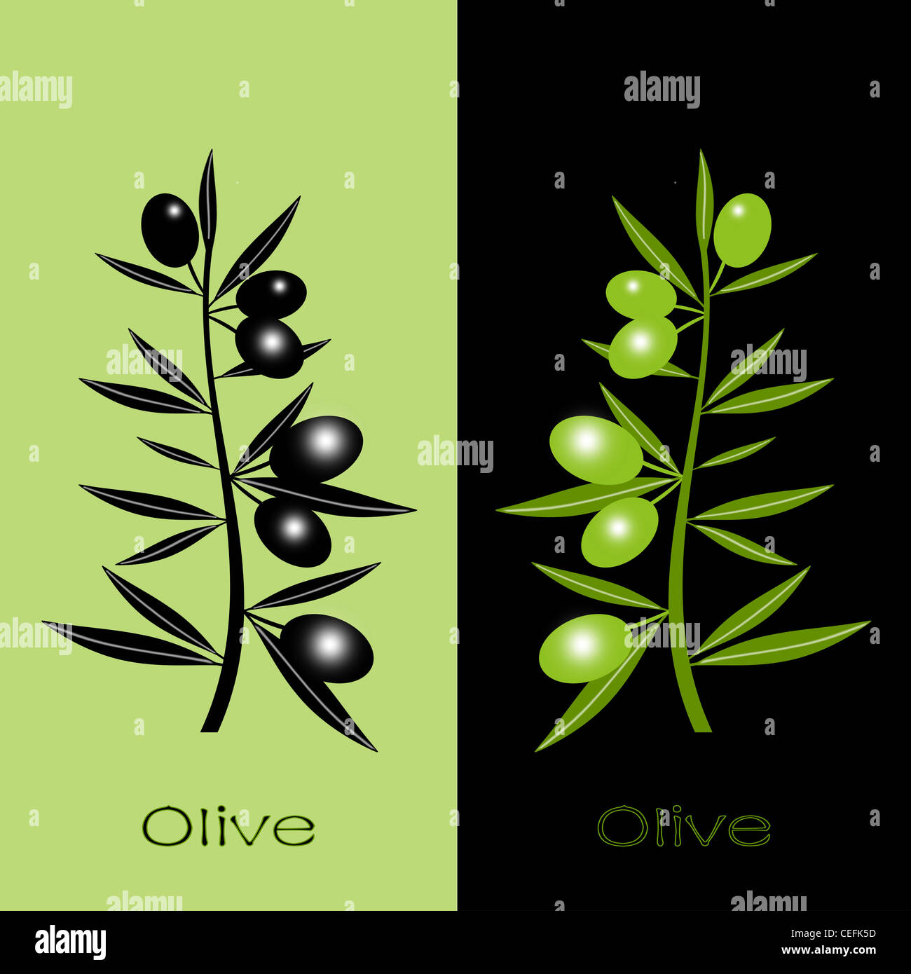 Silhouette of black and green olives branch Stock Photo - Alamy