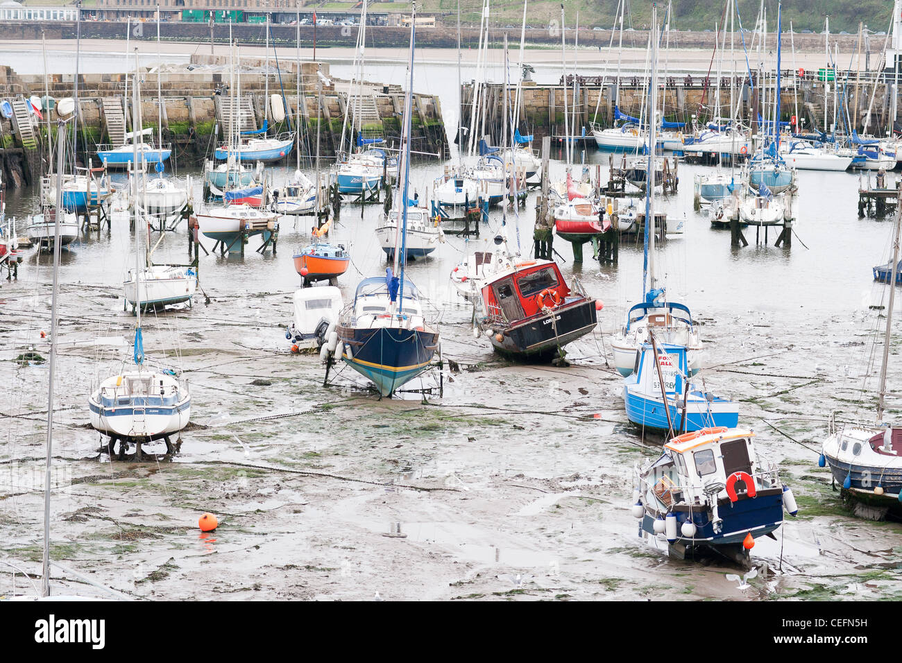 Scarborough Harbour Low Tide England High Resolution Stock Photography 