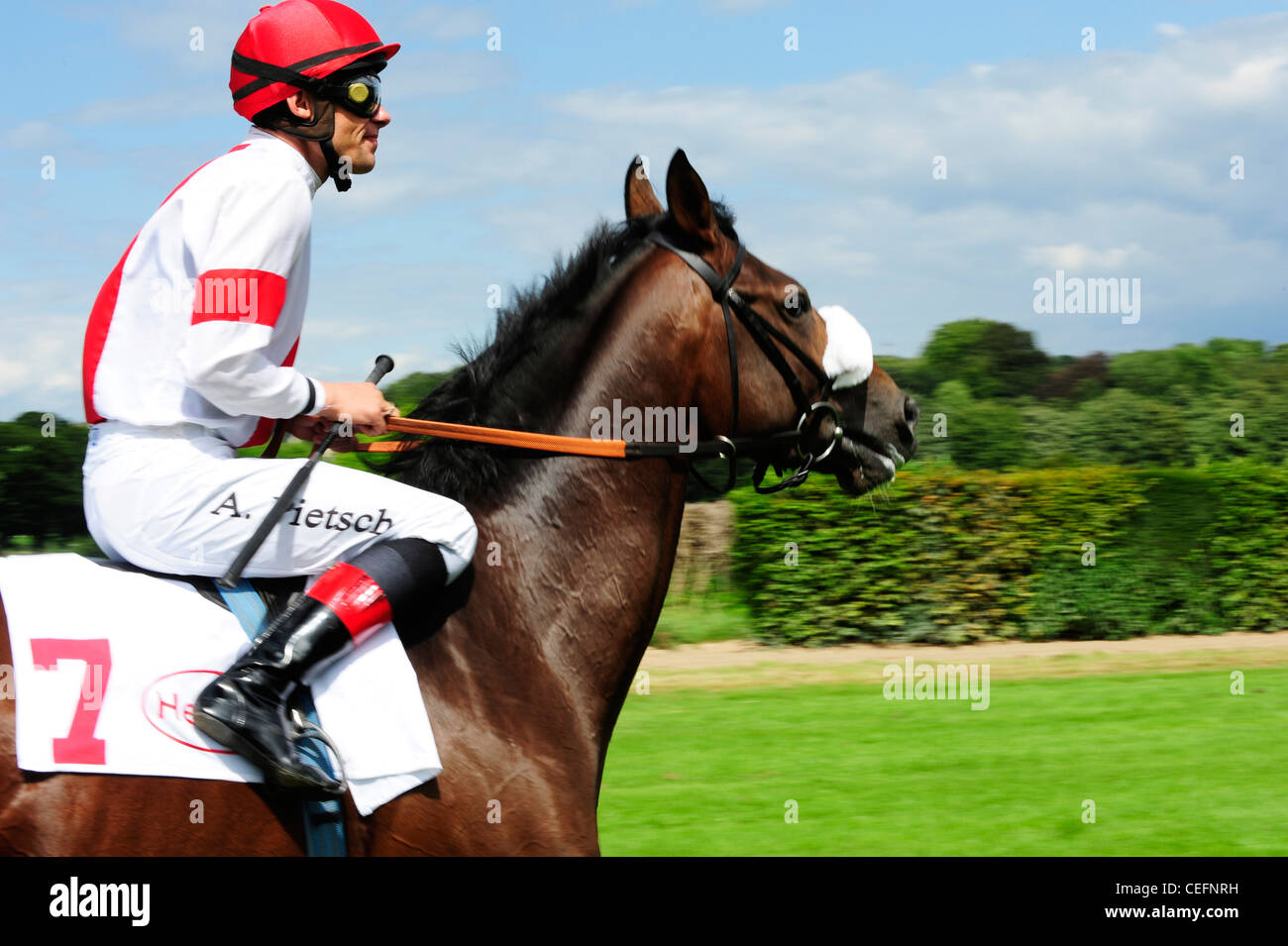 Jockey on racehorse Stock Photo Alamy