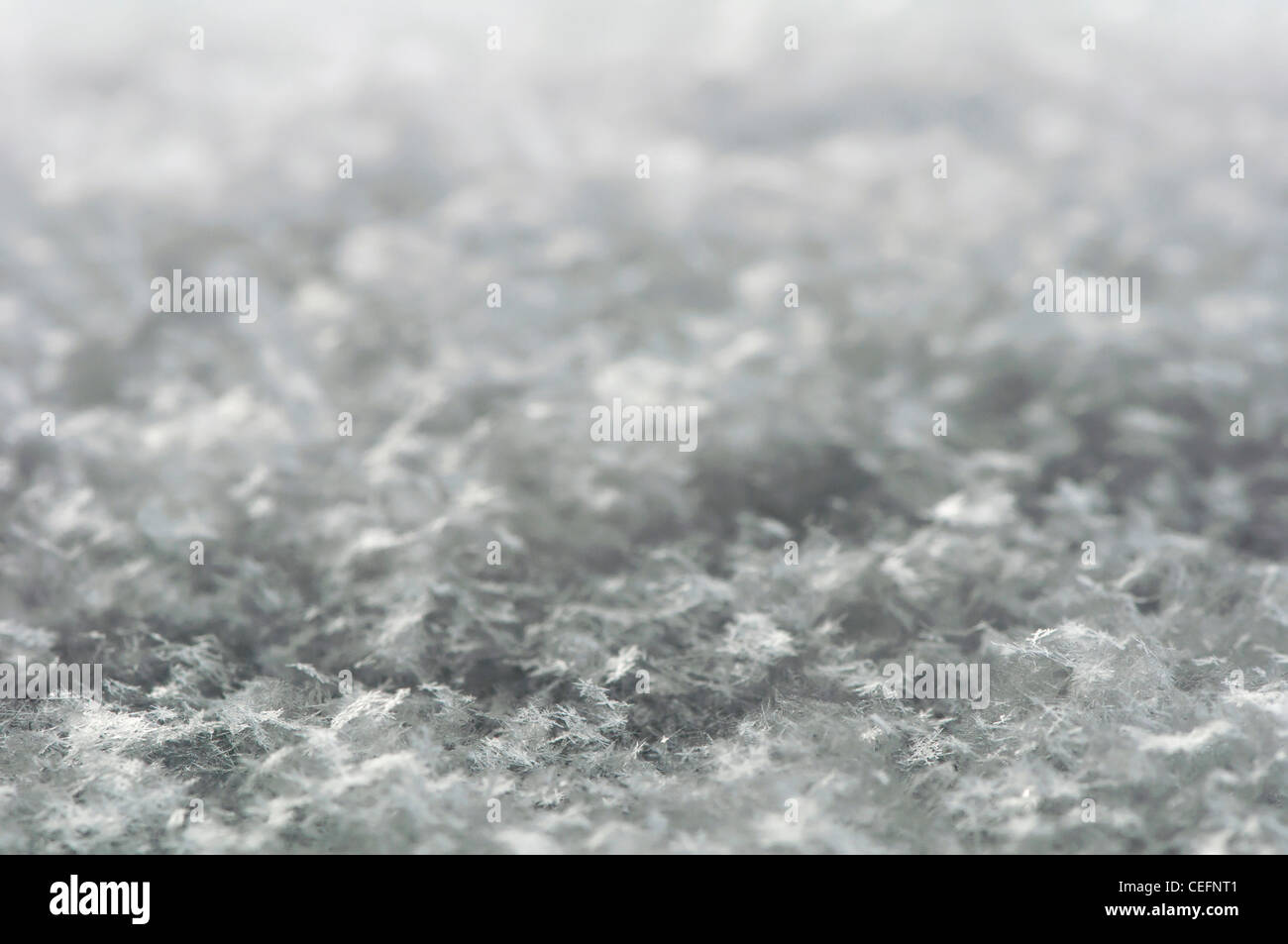 Snowflakes background. Close up natural snowflakes Stock Photo