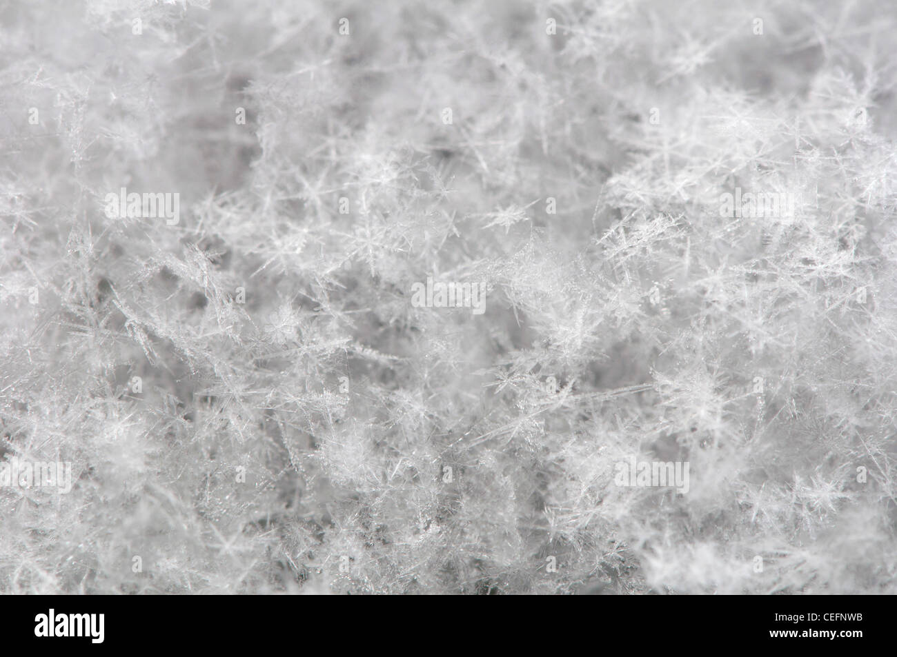 Snowflakes background. Close up natural snowflakes Stock Photo