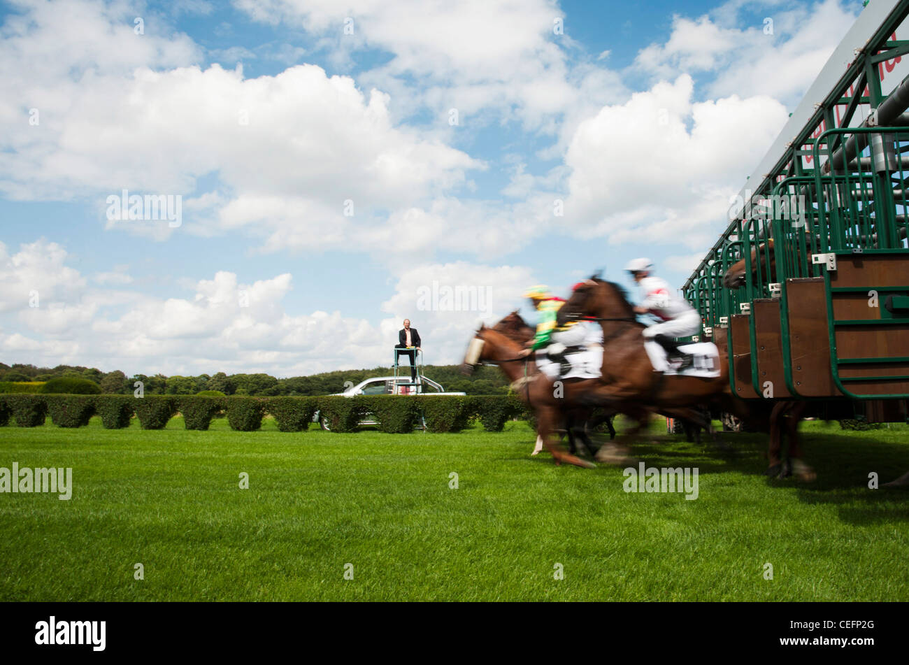 Pferde startbox hires stock photography and images Alamy