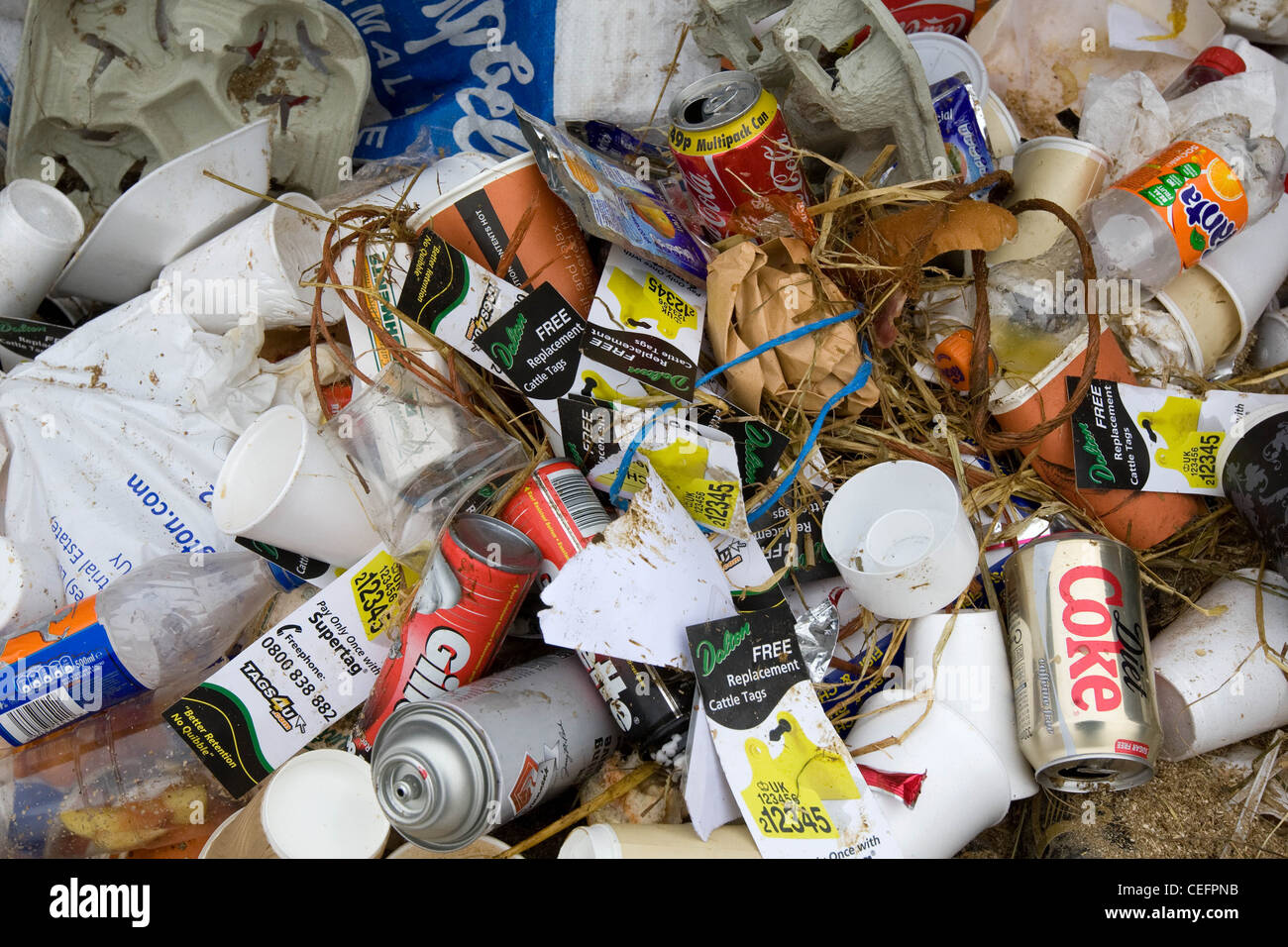 Rubbish in a skip Stock Photo Alamy
