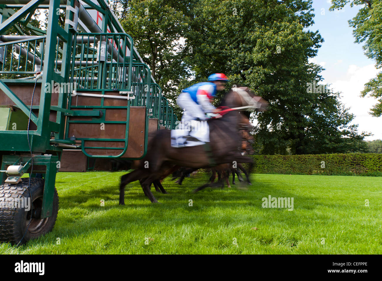 Jockeys riding galloping race horses start out of the box during horse