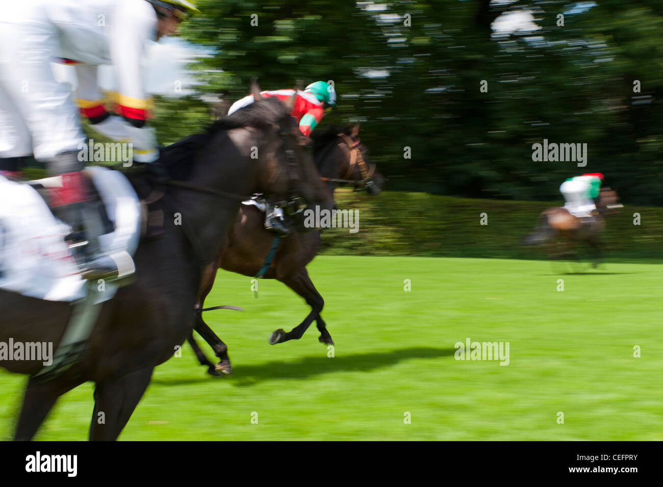 Riding rider gallop galloping hi-res stock photography and images - Alamy