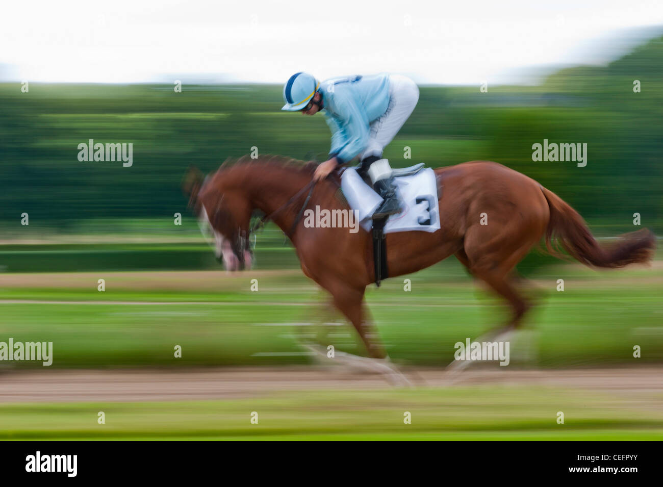 Jockey On Race Horse Galloping Hi Res Stock Photography And Images Alamy