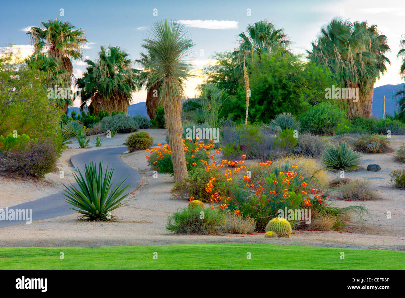 Landscaping around Desert Willow Golf Resort. Palm Desert, California Stock Photo