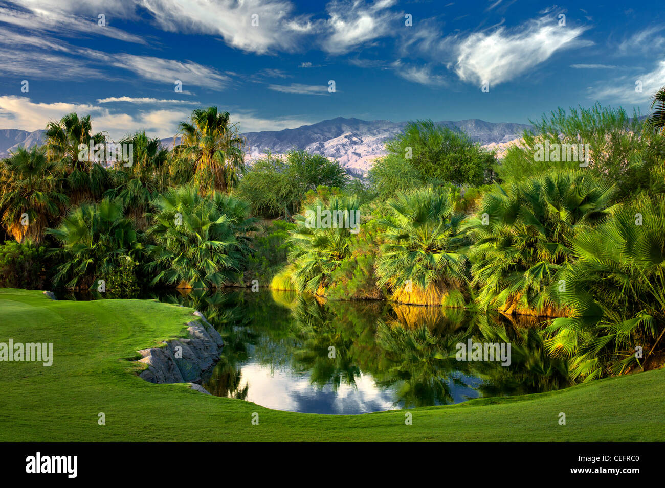 Pond at Desert Willow Golf Resort. Palm Desert, California Stock Photo
