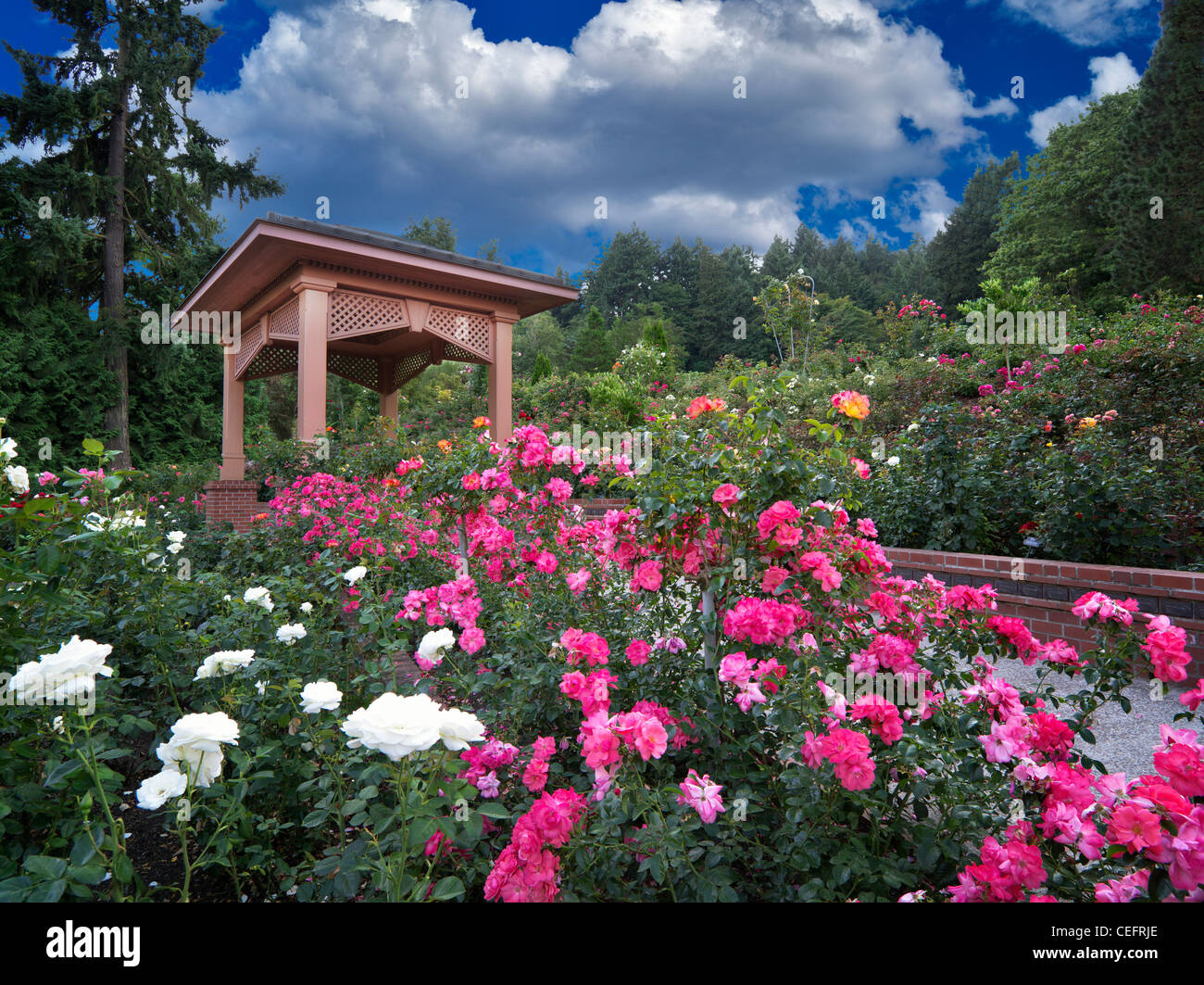 Gazebo in Portland Rose Test Garden. Orefgon Stock Photo