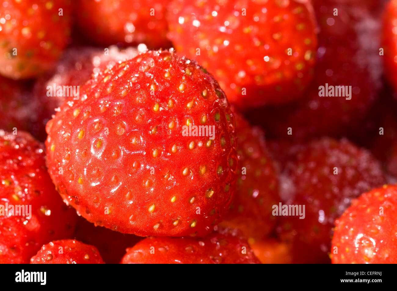 Strawberries with sugar - Macro Stock Photo - Alamy