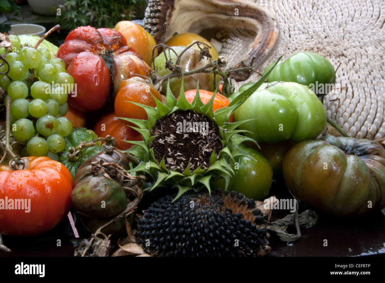 Rotting Fruit And Vegetables Stock Photo - Download Image Now - Rotting,  Food, Fruit - iStock