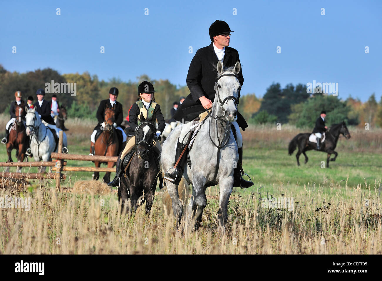 Hunters in black coats on horseback follow artificial scent during drag / trail hunting in autumn, alternative to fox hunting Stock Photo