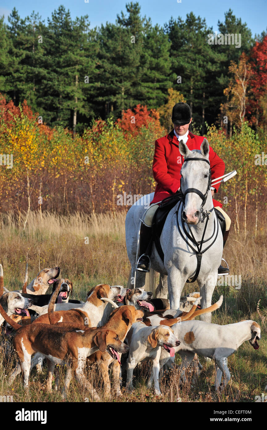 Horse hounds hunt pack huntsman hires stock photography and images Alamy