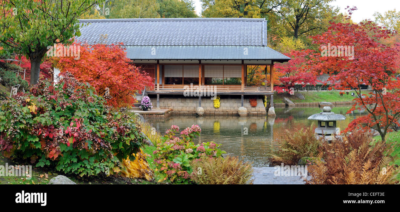 Traditional tea house along pond and Smooth Japanese maples in autumn colours at Japanese garden, Hasselt, Belgium Stock Photo