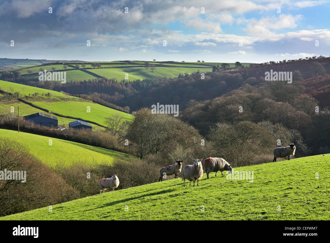 Winsford somerset hires stock photography and images Alamy