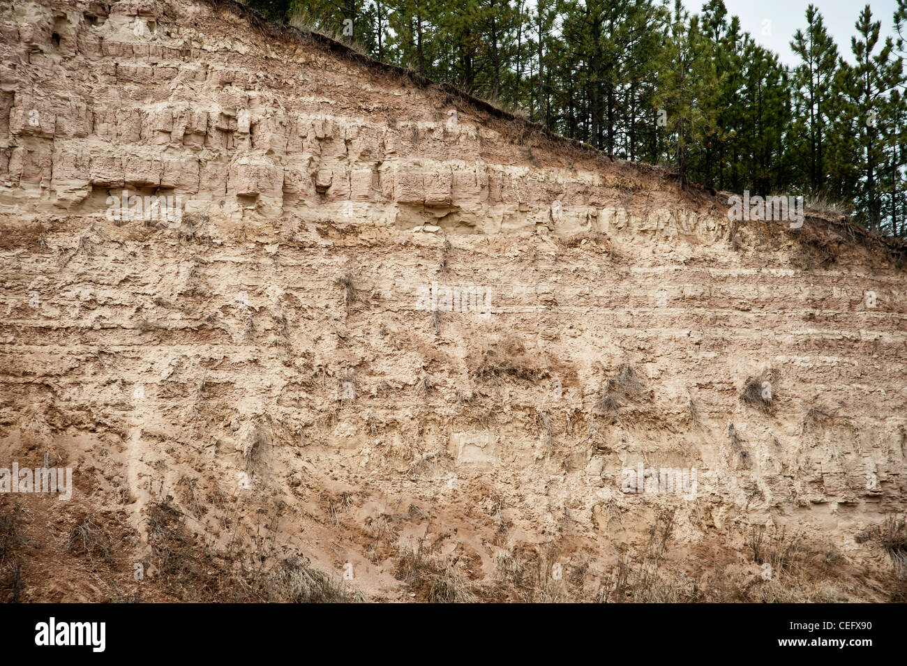 Lake lines from the ancient lake Missoula in Montana. Stock Photo