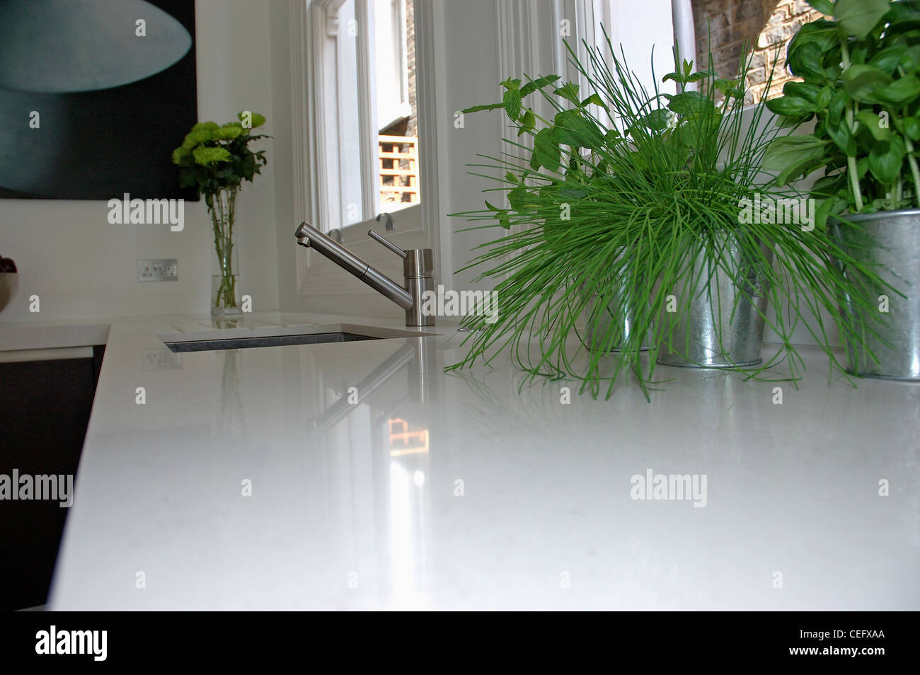 Close Up Of Herbs In Stainless Steel Pots On White Corian Worktop